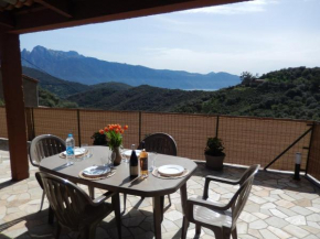 Hotels in Osani